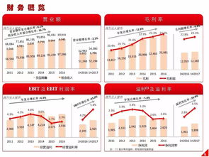 高鑫零售2024上半年业绩解读 营收稳健增长，日用百货销售成亮点